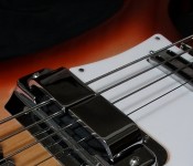 rickenbacker_4001c64fg_ec