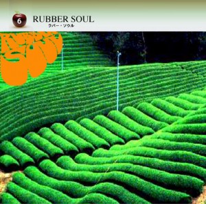 Beatlemania | RUBBER SOUL