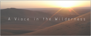 A Voice In The Wilderness