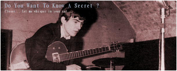 Do You Want To Know A Secret ?