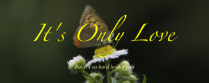 It's Only Love