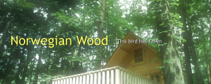 Norwegian Wood (This bird has flown) Norwegian Wood (This bird has flown)