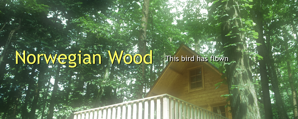 Norwegian Wood (This bird has flown)