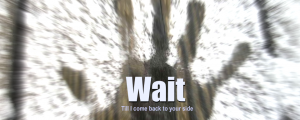 Wait Wait