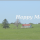 Happy Man's House
