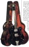 Gretsch George Harrison Specal 12 strings